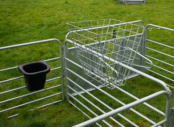 Sheep Feeding Equipment